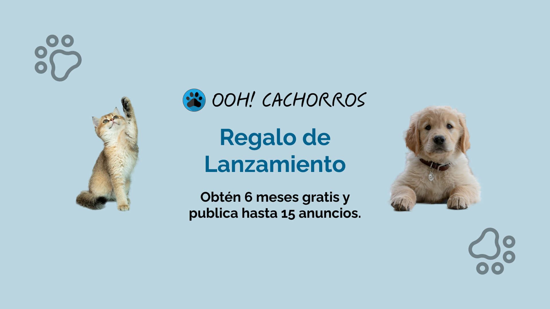 Imagen de regalo de lanzamiento