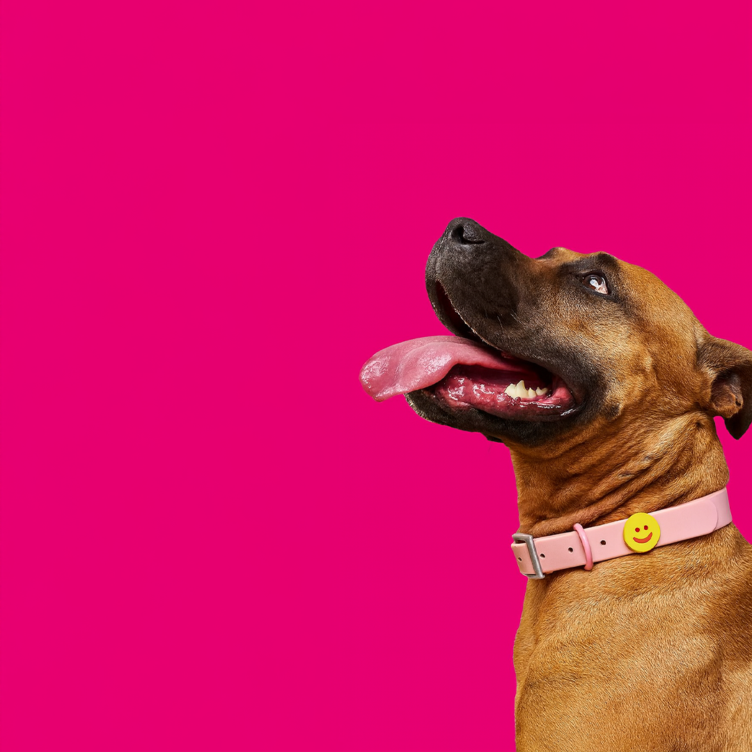 Imagen de portada de Me llamo Micaela y busco familia