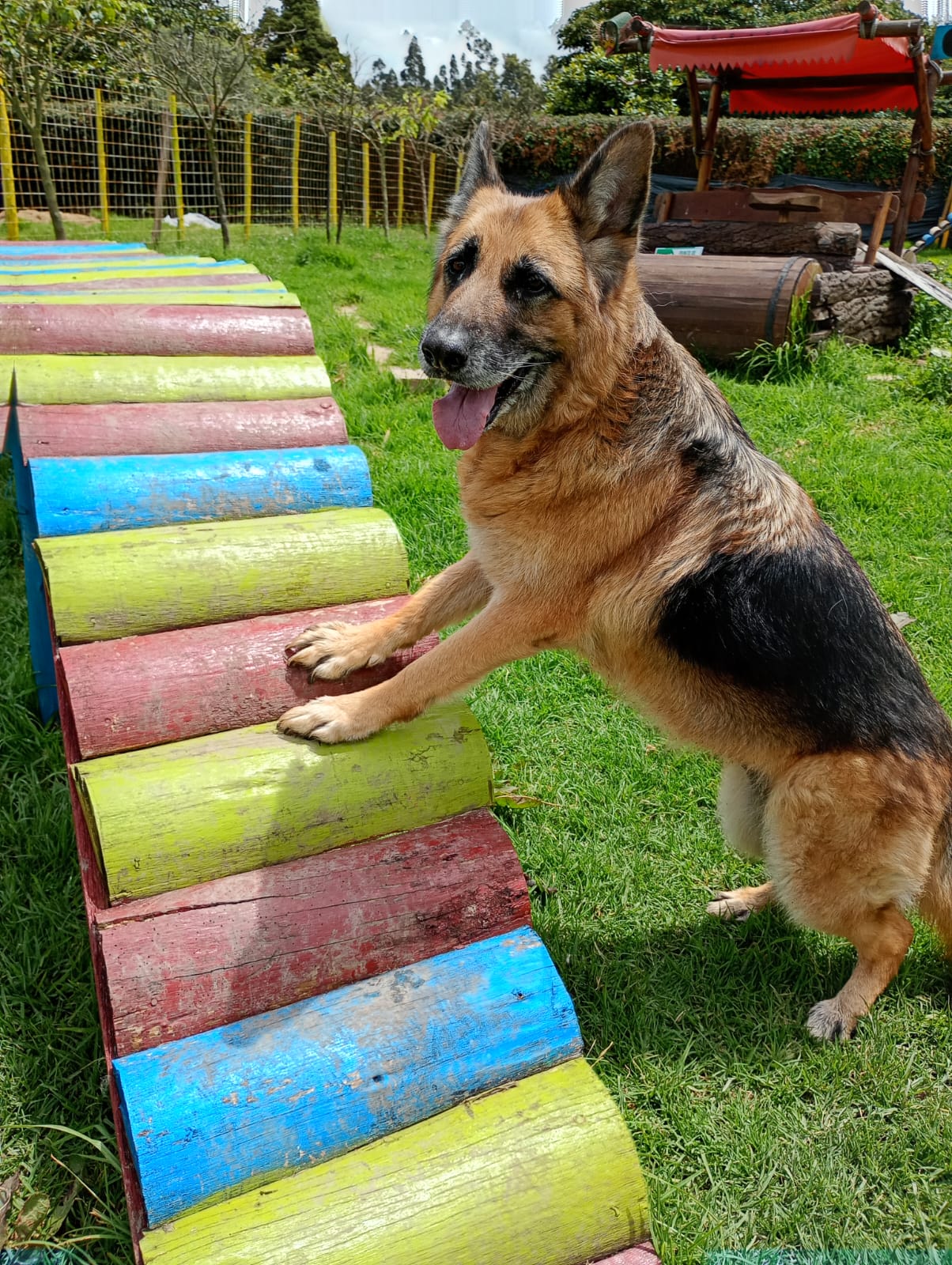 Imagen de perfil de Andrea Costilla