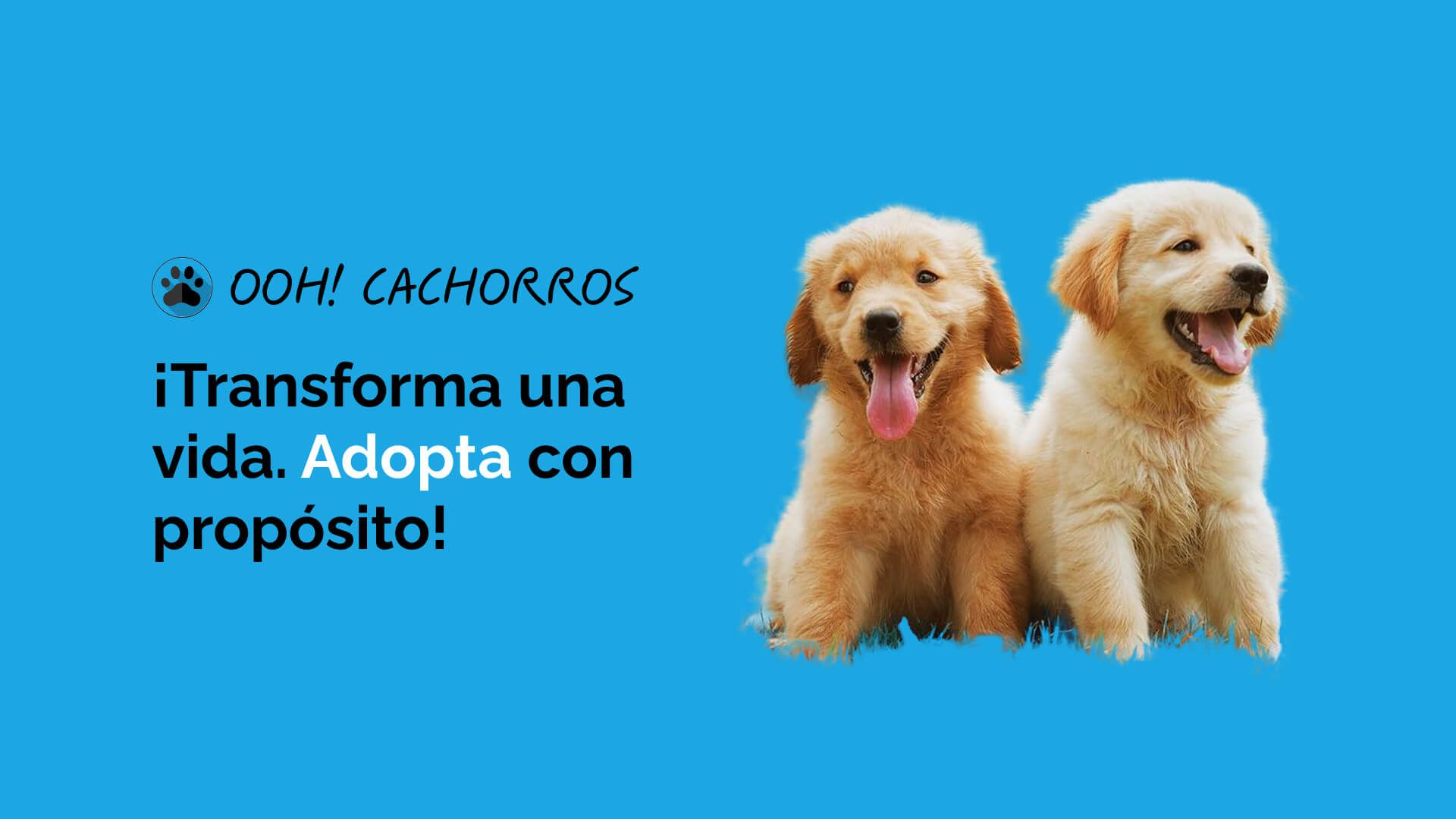 Imagen de bienvenida
