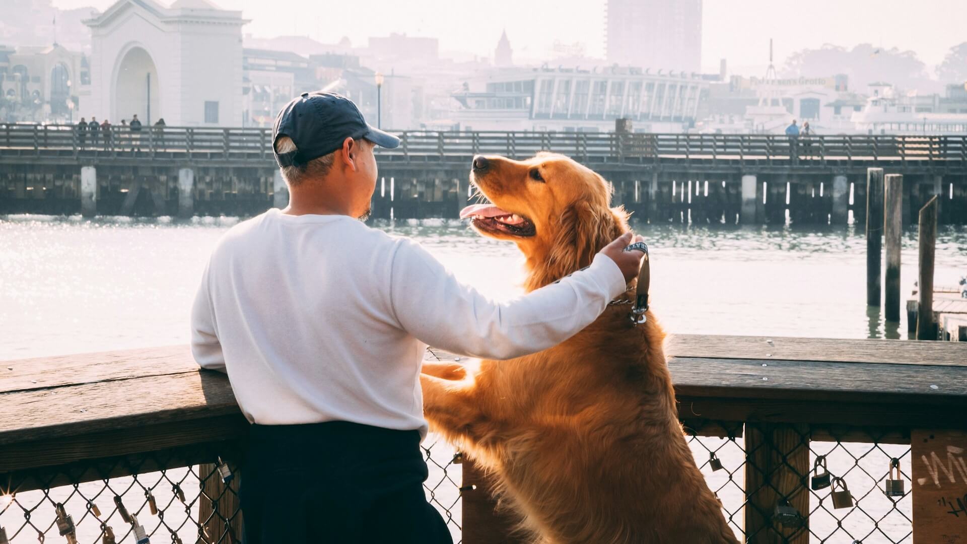 Un perro y una persona felices en un balcón.